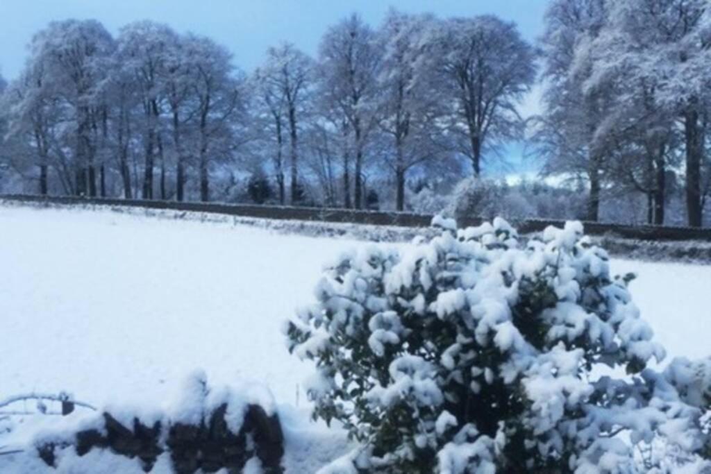 Tomax Garden Cabin Free Parking Inverness Kültér fotó
